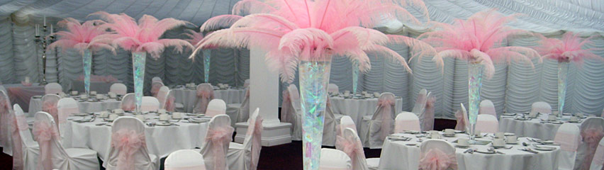 Rushpool Hall marquee - light pink feather displays