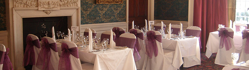 Gisborough Hall Longhull Room - two tone purple bows