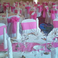 Gisborough Hall - hot pink bows