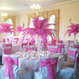 Grinkle park - hot pink feather displays and bows