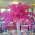 Feather displays (other colours available)