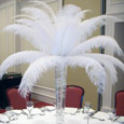 White ostrich feather centrepiece